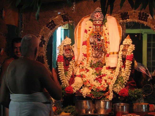 Arumbakkam Sri Satyavaradaraja Perumal Temple Vasanthotsavam3