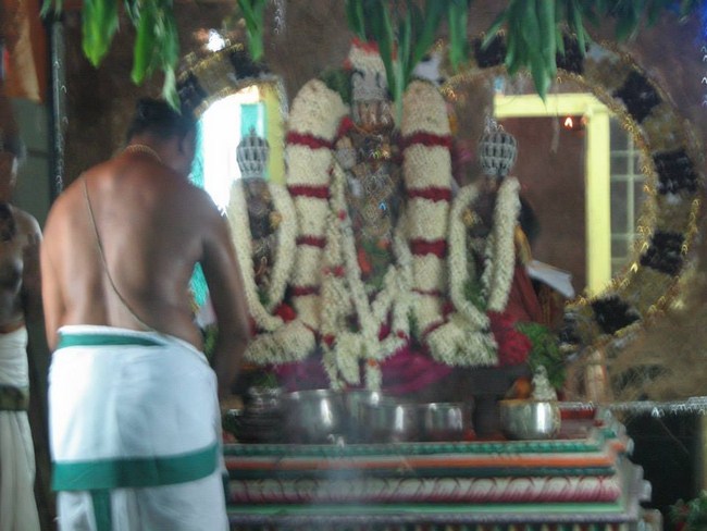 Arumbakkam Sri Satyavaradaraja Perumal Temple Vasanthotsavam4