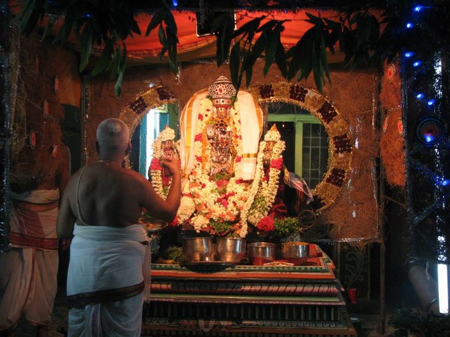 Arumbakkam Sri Satyavaradaraja Perumal Temple Vasanthotsavam6