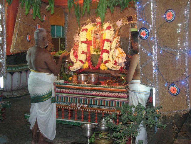 Arumbakkam Sri Satyavaradaraja Perumal Temple Vasanthotsavam6