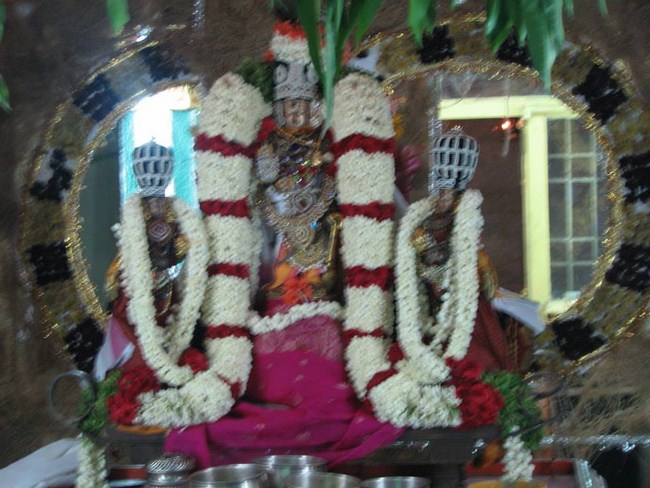 Arumbakkam Sri Satyavaradaraja Perumal Temple Vasanthotsavam7