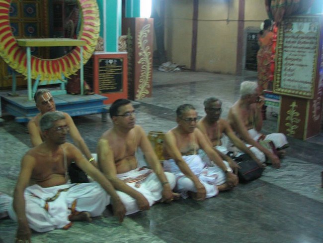 Arumbakkam Sri Satyavaradaraja Perumal Temple Vasanthotsavam8