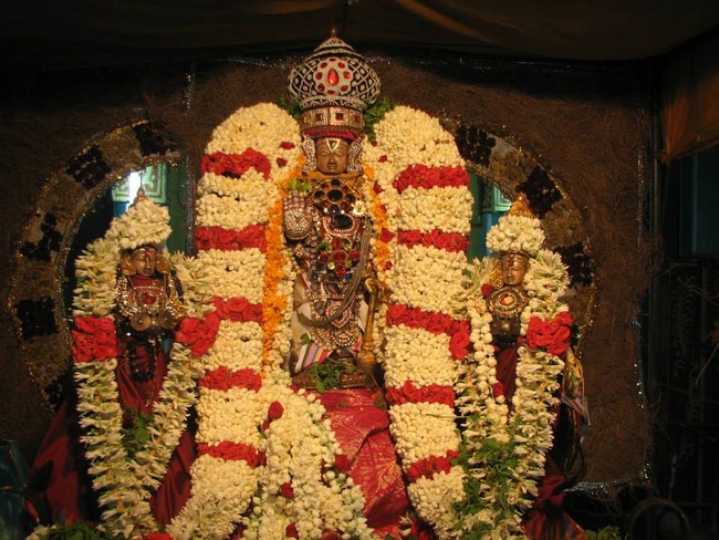 Arumbakkam Sri Satyavaradaraja Perumal Temple Vasanthotsavam9