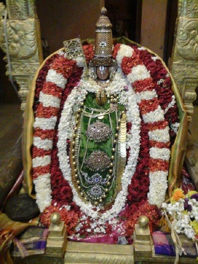 Azhwar Thirunagari Swami Nammazhwar Thiruavathara Uthsavam Sapthavaranam8