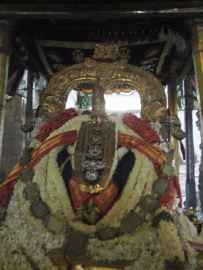 Azhwar Thirunagari Swami Nammazhwar Thiruavathara Uthsavam11