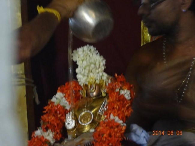 Azhwar Thirunagari Swami Nammazhwar Thiruavathara Uthsavam130