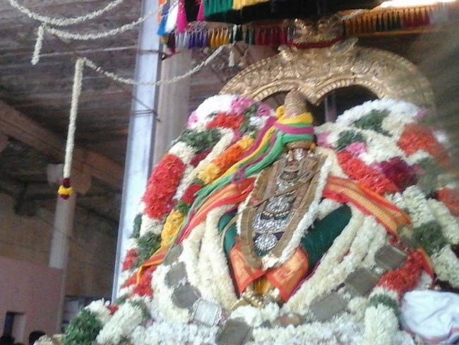 Azhwar Thirunagari Swami Nammazhwar Thiruavathara Uthsavam16