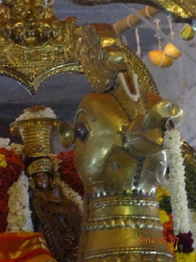 Azhwar Thirunagari Swami Nammazhwar Thiruavathara Uthsavam19