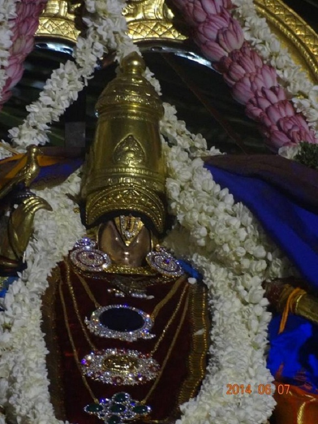 Azhwar Thirunagari Swami Nammazhwar Thiruavathara Uthsavam2
