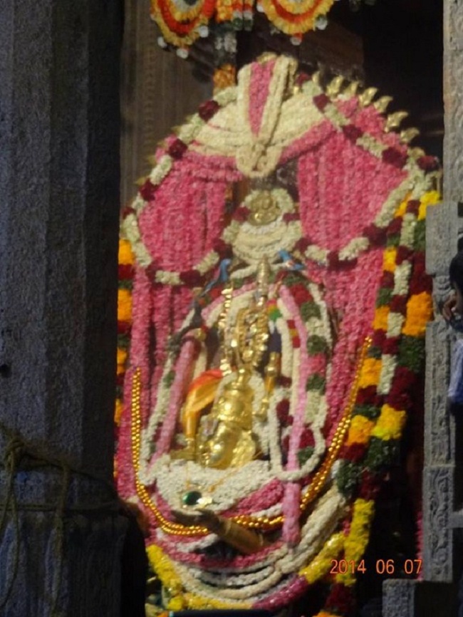 Azhwar Thirunagari Swami Nammazhwar Thiruavathara Uthsavam21