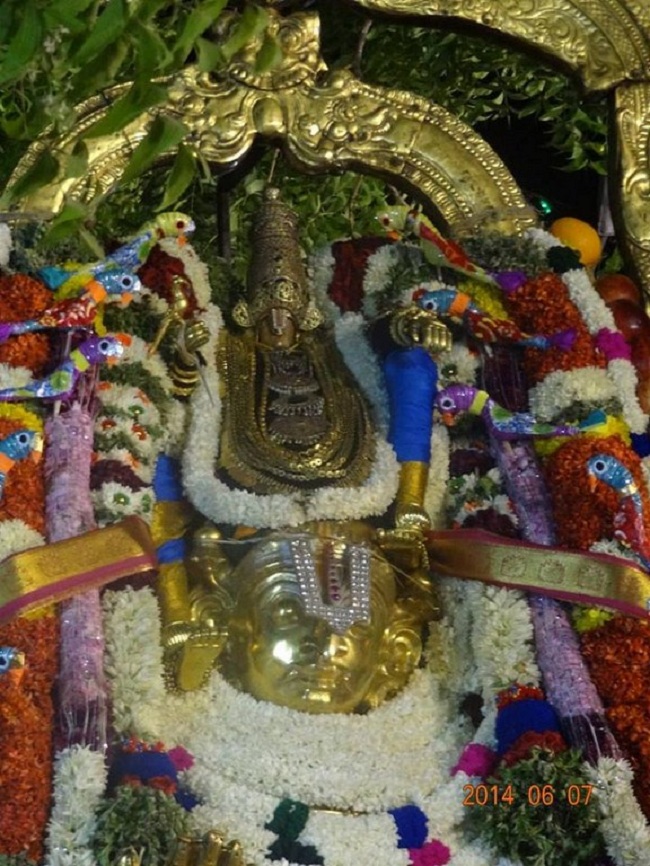 Azhwar Thirunagari Swami Nammazhwar Thiruavathara Uthsavam23