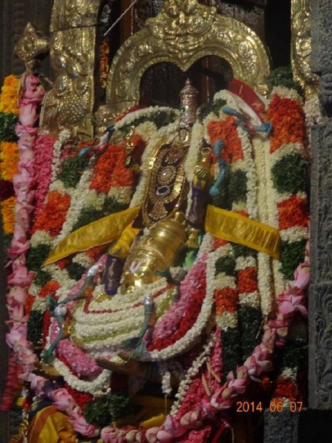 Azhwar Thirunagari Swami Nammazhwar Thiruavathara Uthsavam27