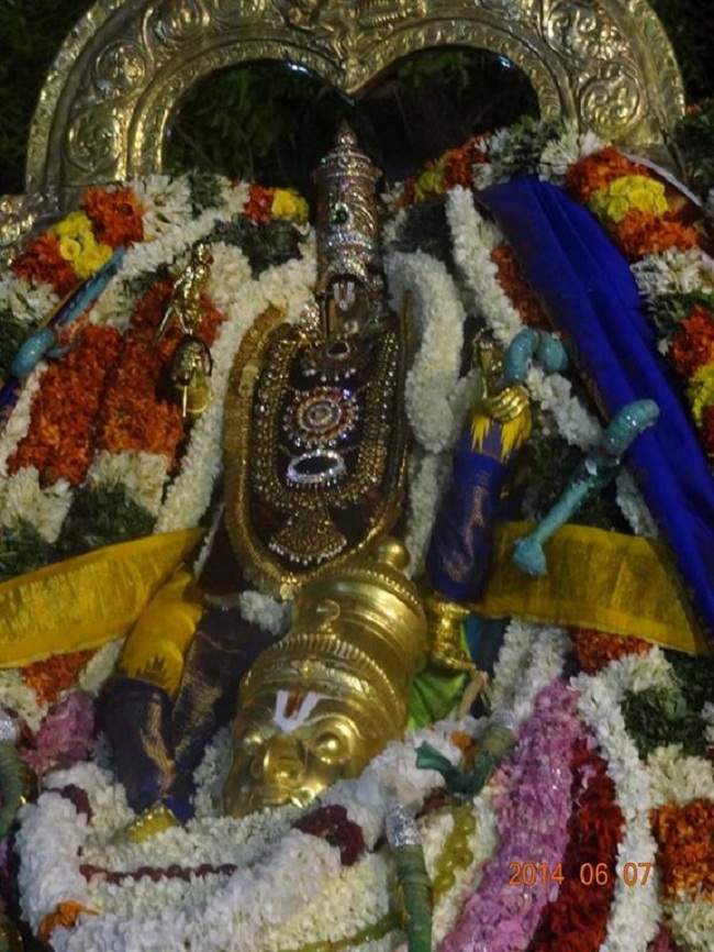 Azhwar Thirunagari Swami Nammazhwar Thiruavathara Uthsavam33