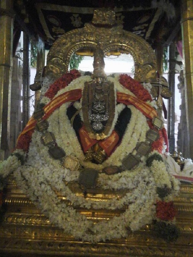 Azhwar Thirunagari Swami Nammazhwar Thiruavathara Uthsavam34