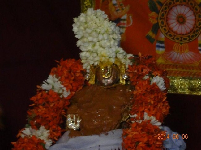 Azhwar Thirunagari Swami Nammazhwar Thiruavathara Uthsavam39