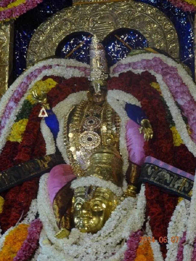 Azhwar Thirunagari Swami Nammazhwar Thiruavathara Uthsavam40