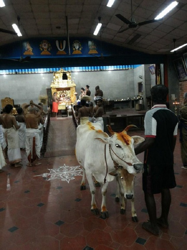 HH 46th Srimath Azhagiyasingar Thirunakshatram Utsavam 6