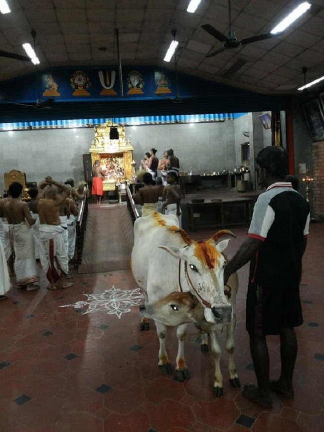 HH 46th Srimath Azhagiyasingar Thirunakshatram Utsavam 9