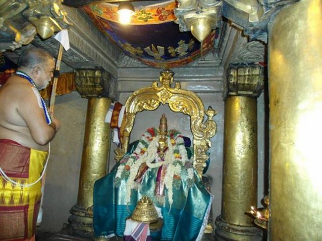 HH Sri Sri Thirukurungudi Jeer Mangalasasanam At Azhwar Thirunagari11