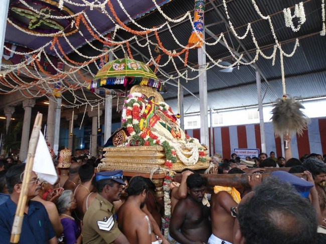 HH Sri Sri Thirukurungudi Jeer Mangalasasanam At Azhwar Thirunagari3