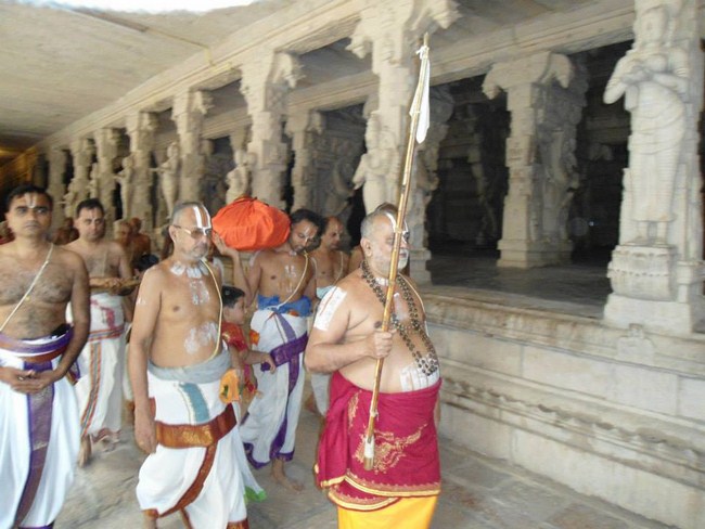 HH Sri Sri Thirukurungudi Jeer Mangalasasanam At Azhwar Thirunagari8