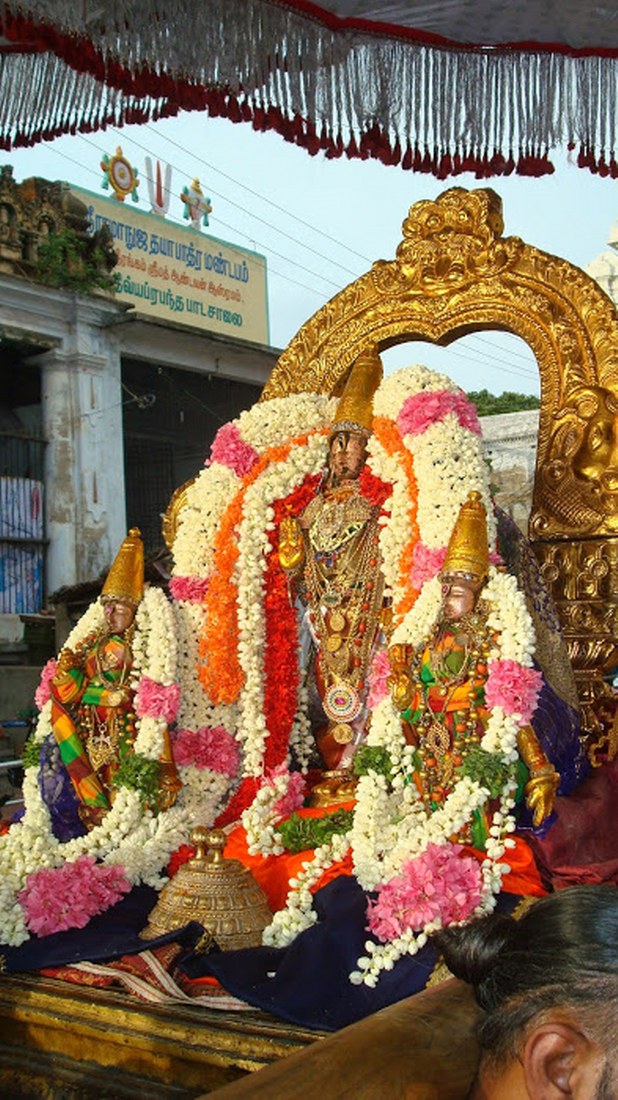 Kanchi Sri Perarulalan Aani Krishna ekadasi Purappadu 2014 06