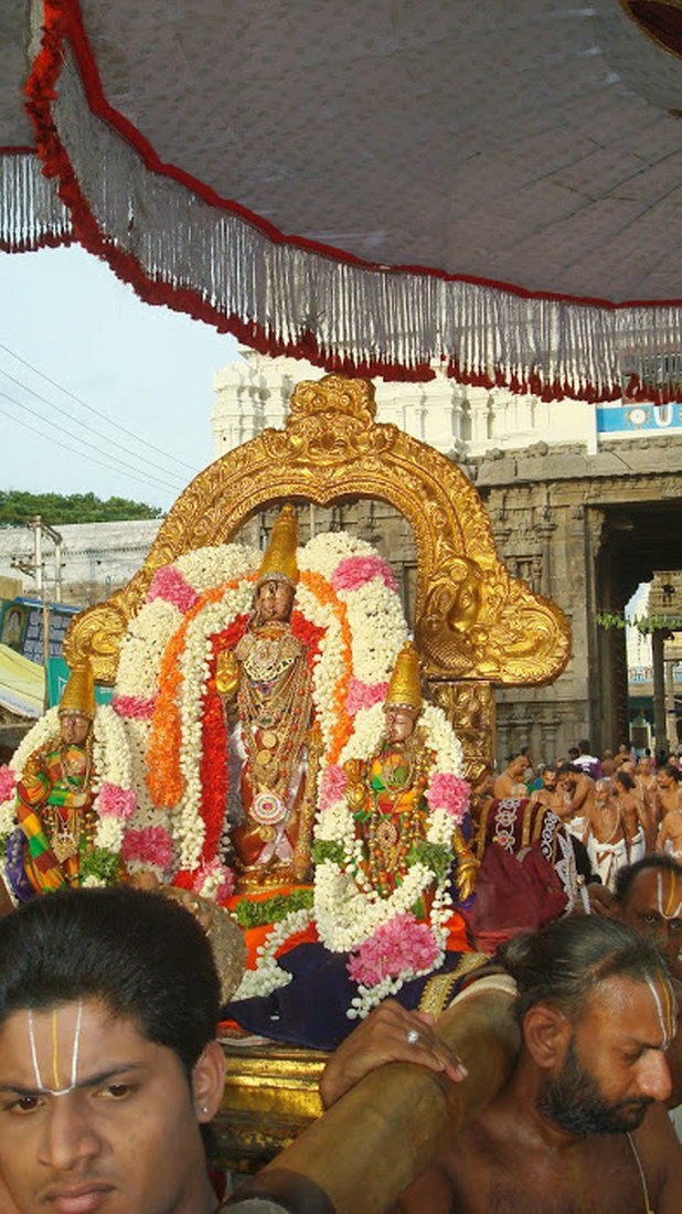 Kanchi Sri Perarulalan Aani Krishna ekadasi Purappadu 2014 07