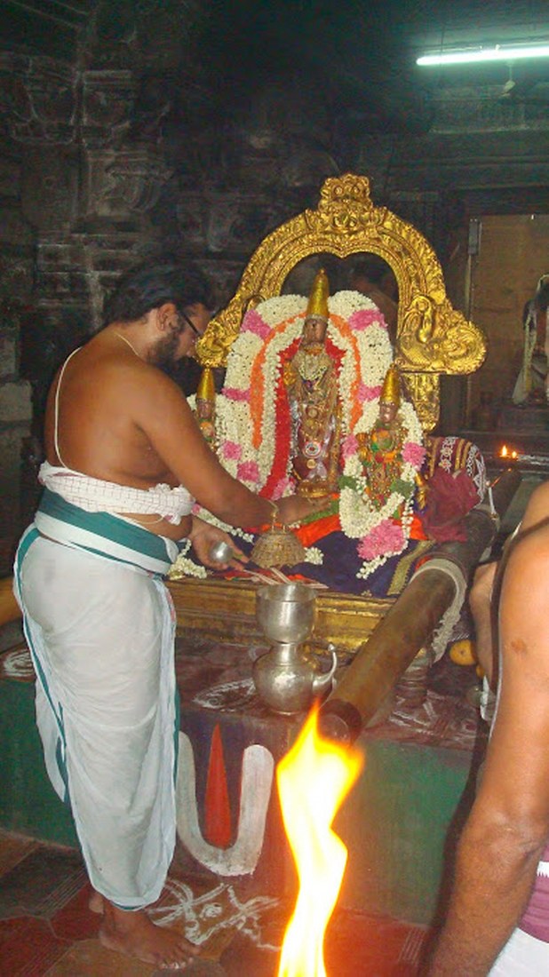 Kanchi Sri Perarulalan Aani Krishna ekadasi Purappadu 2014 11