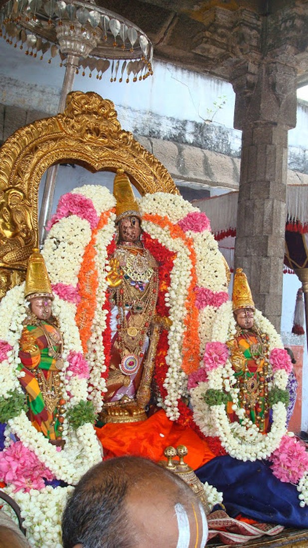 Kanchi Sri Perarulalan Aani Krishna ekadasi Purappadu 2014 13