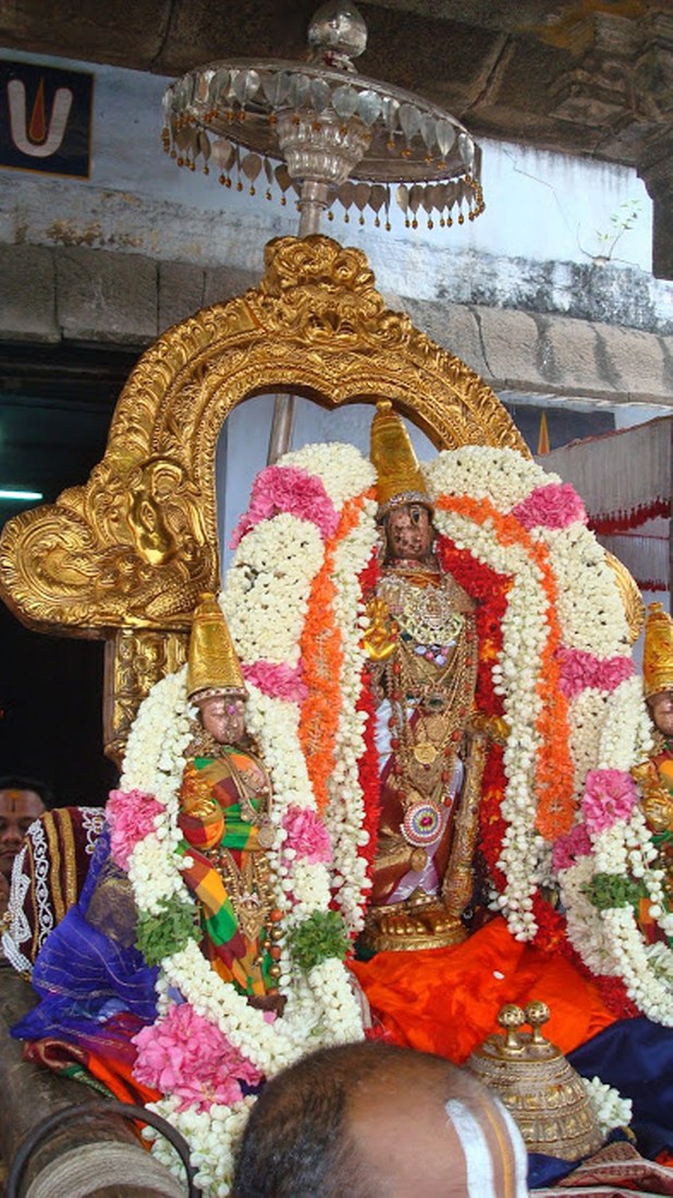 Kanchi Sri Perarulalan Aani Krishna ekadasi Purappadu 2014 14