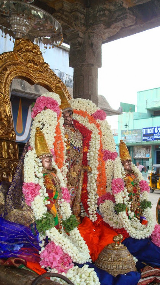 Kanchi Sri Perarulalan Aani Krishna ekadasi Purappadu 2014 15