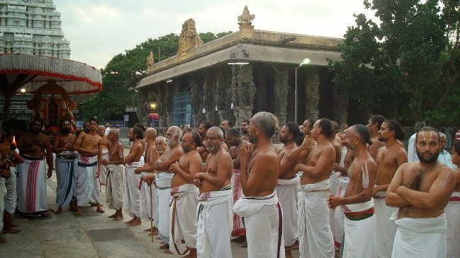 Kanchi Sri Perarulalan Aani Krishna ekadasi Purappadu 2014 21