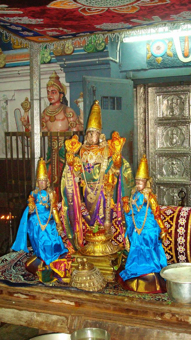 Kanchipuram Devaperumal Hastham_07