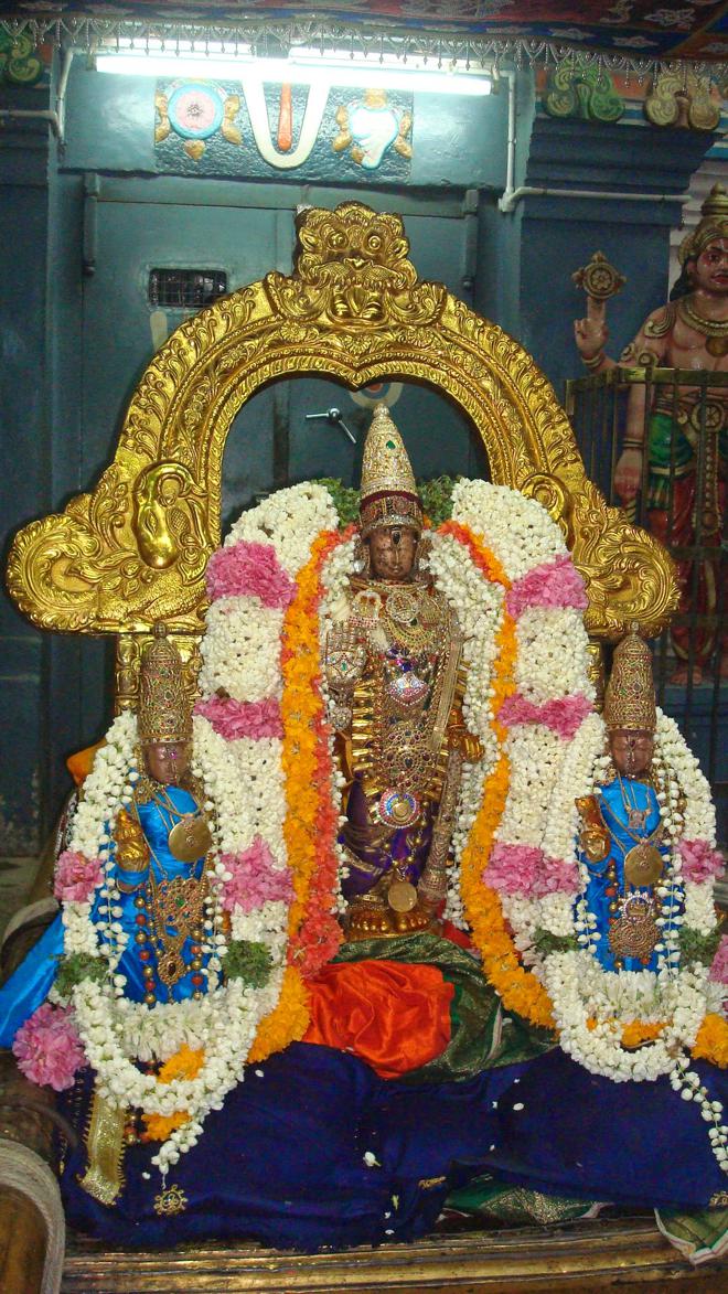 Kanchipuram Devaperumal Hastham_11