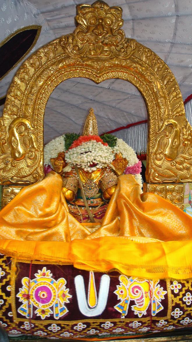 Kanchipuram Devaperumal Hastham_12