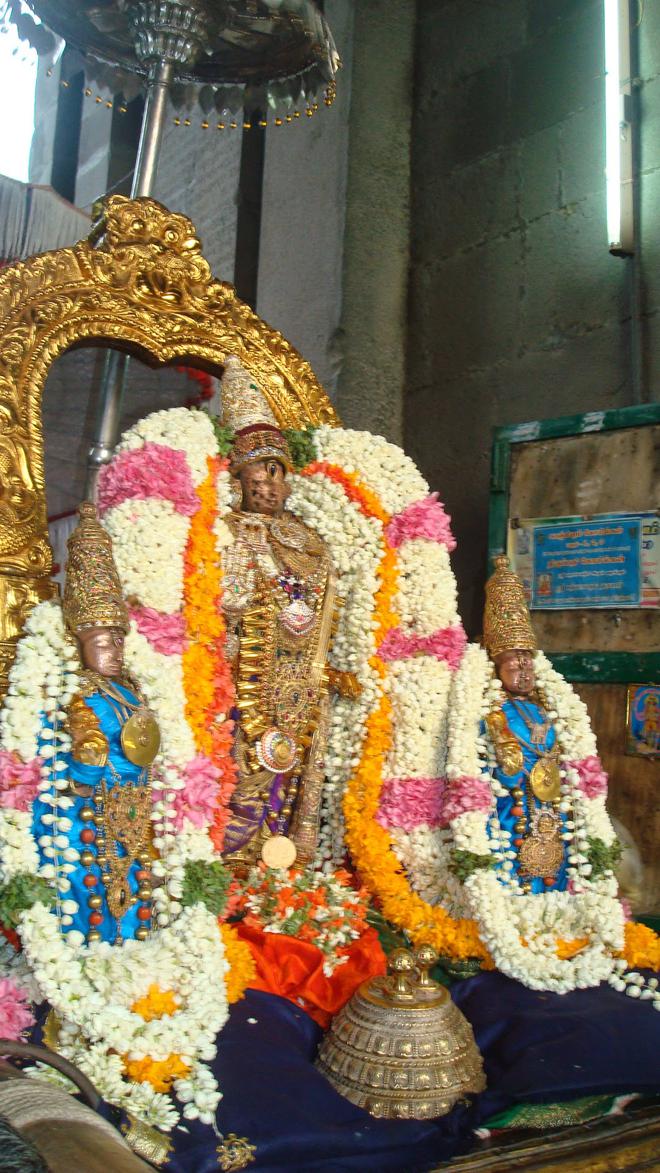 Kanchipuram Devaperumal Hastham_15