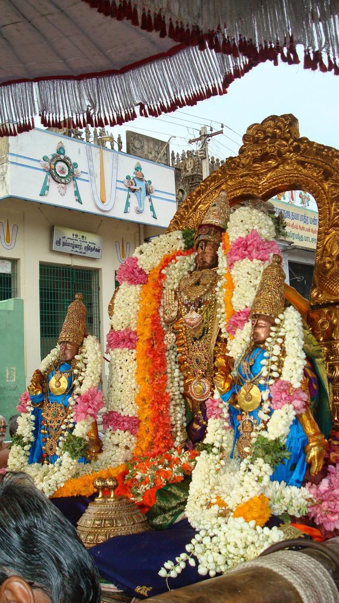 Kanchipuram Devaperumal Hastham_20