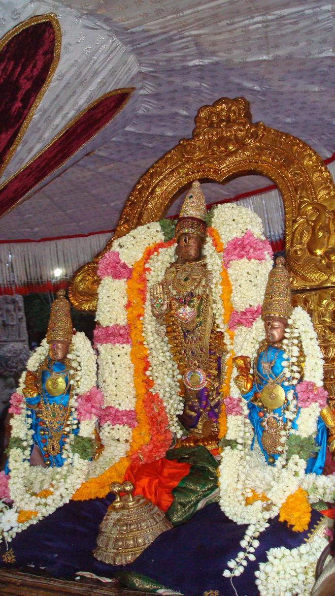 Kanchipuram Devaperumal Hastham_28
