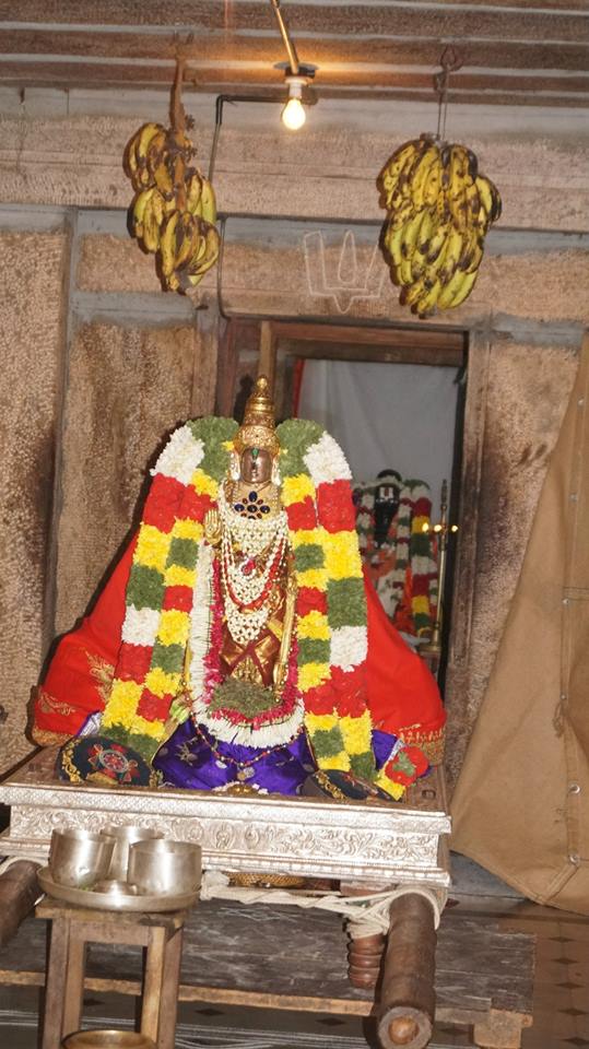 Melkote Namazhwar Thirunakshatram2