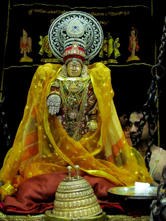 Mylapore SVDD Sri Srinivasa Perumal Vaigasii Brahmotsavam Day 3  Night 03-06-2014   07