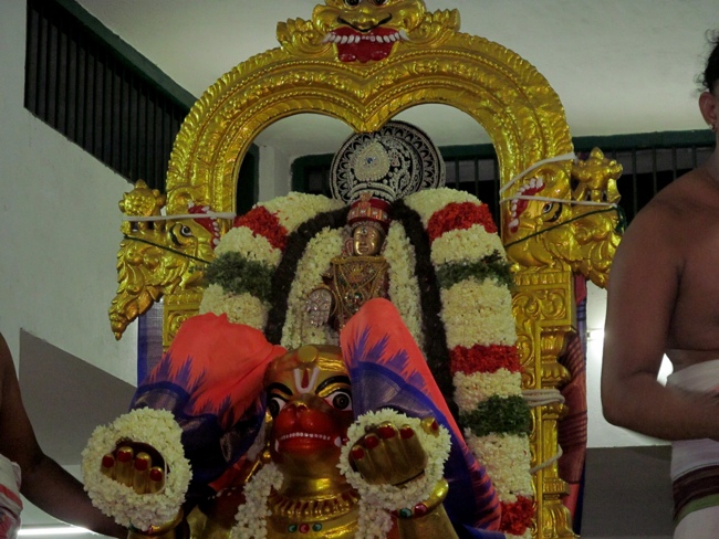 Mylapore SVDD Sri Srinivasa Perumal Vaigasii Brahmotsavam Day 3  Night 03-06-2014   11