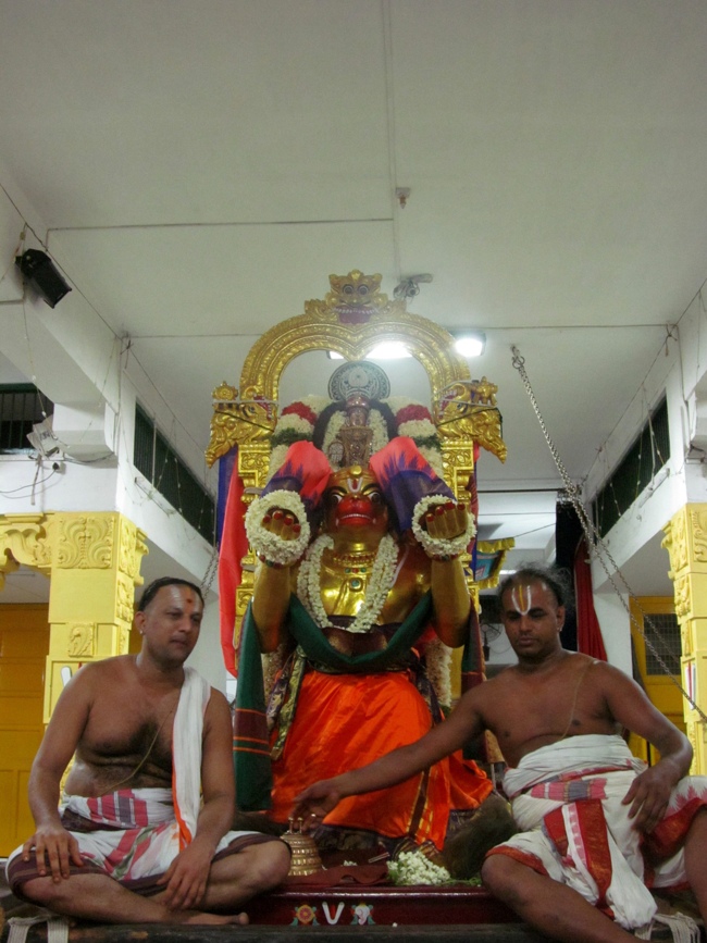 Mylapore SVDD Sri Srinivasa Perumal Vaigasii Brahmotsavam Day 3  Night 03-06-2014   18