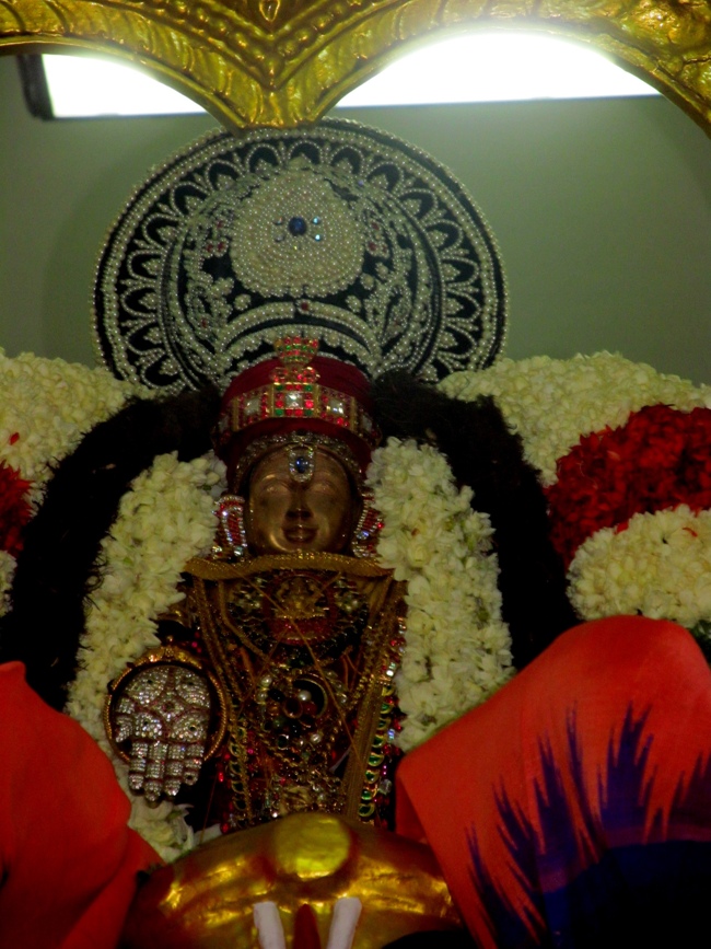 Mylapore SVDD Sri Srinivasa Perumal Vaigasii Brahmotsavam Day 3  Night 03-06-2014   19