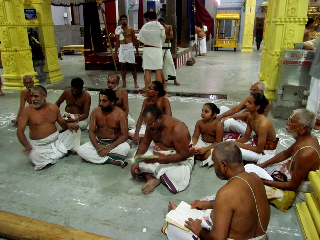 Mylapore SVDD Sri Srinivasa Perumal Vaigasii Brahmotsavam Day 3  Night 03-06-2014   23