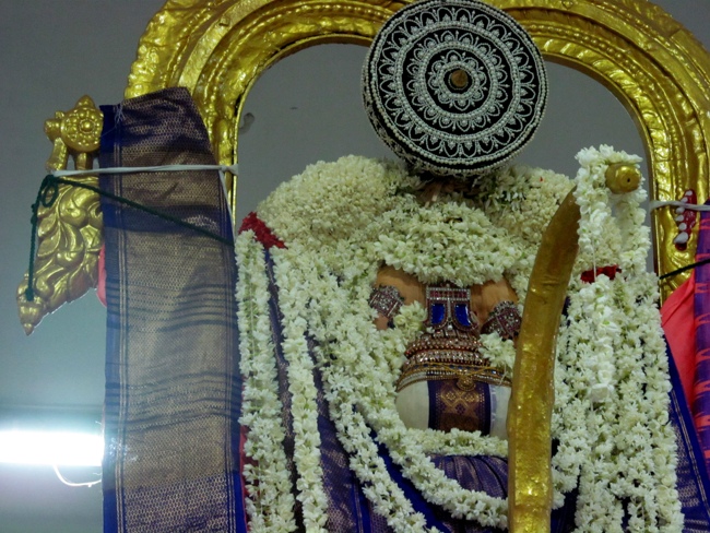 Mylapore SVDD Sri Srinivasa Perumal Vaigasii Brahmotsavam Day 3  Night 03-06-2014   25