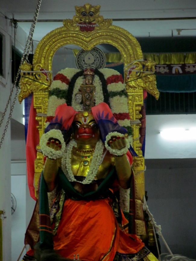 Mylapore SVDD Sri Srinivasa Perumal Vaigasii Brahmotsavam Day 3  Night 03-06-2014   27