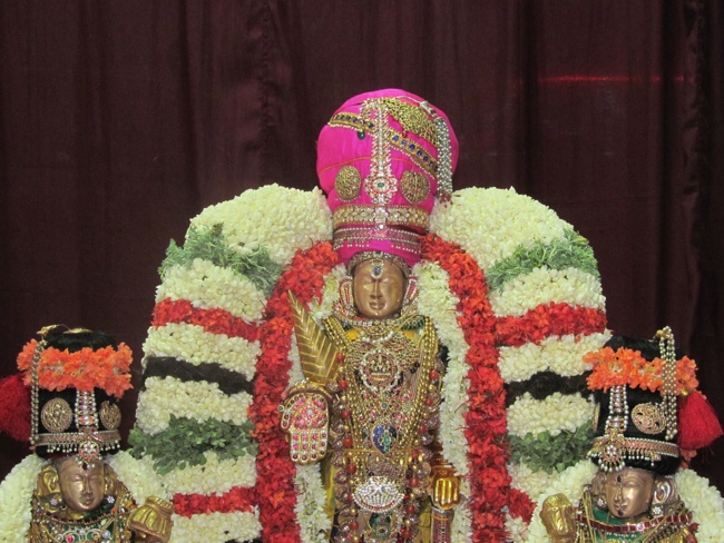Mylapore SVDD Sri Srinivasa Perumal Vaigasii Brahmotsavam Day 7  Night 06-06-2014   02