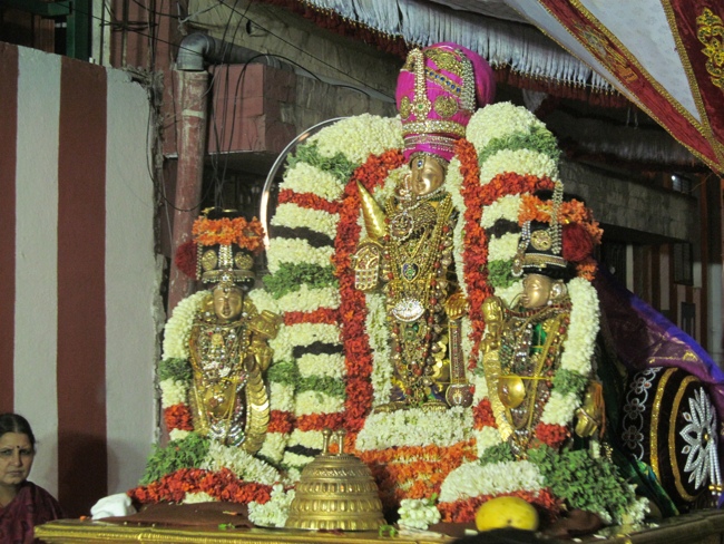 Mylapore SVDD Sri Srinivasa Perumal Vaigasii Brahmotsavam Day 7  Night 06-06-2014   11