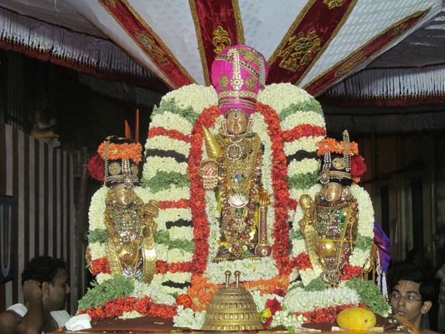 Mylapore SVDD Sri Srinivasa Perumal Vaigasii Brahmotsavam Day 7  Night 06-06-2014   12