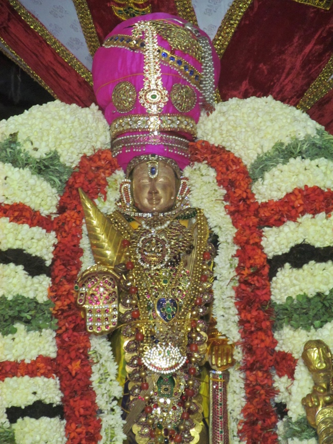 Mylapore SVDD Sri Srinivasa Perumal Vaigasii Brahmotsavam Day 7  Night 06-06-2014   13